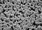 銀過濾膜（SPI-Pore Silver Membrane Filters）